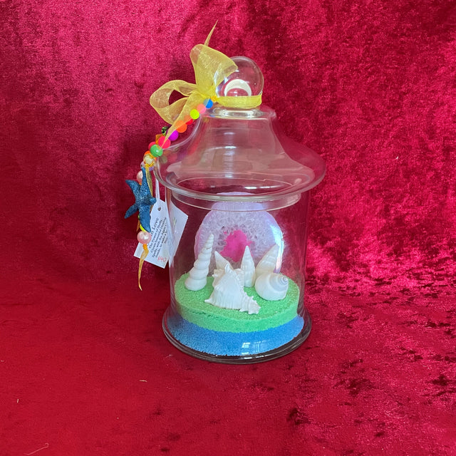 Ocean Theme Agate and Shells