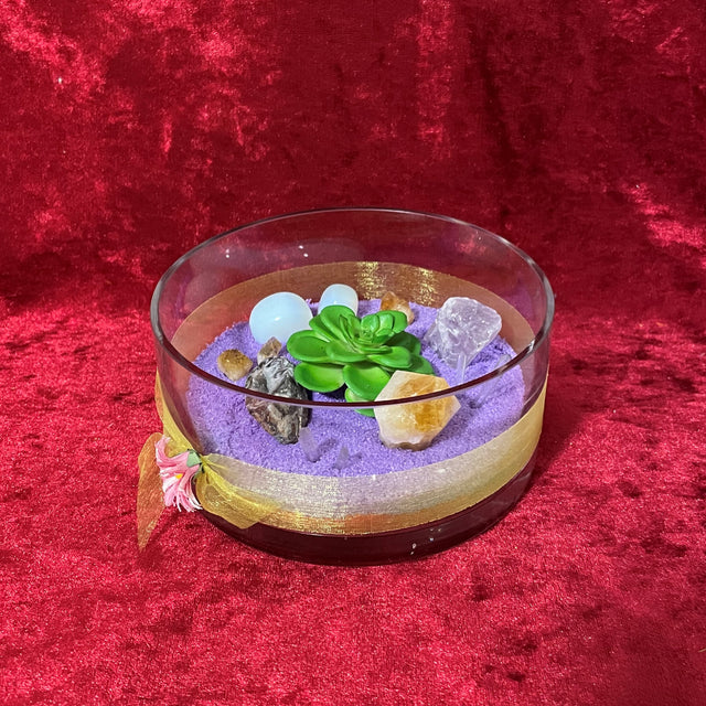Crystal Garden with Succulent Plant