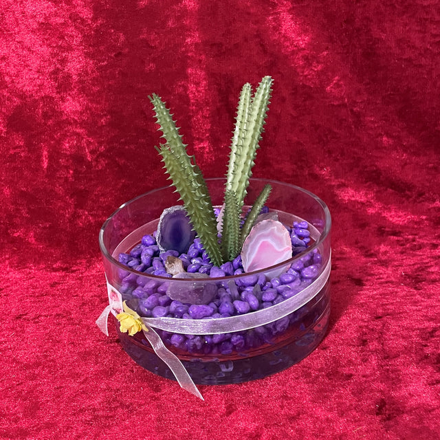 Crystal Garden with Succulent Plant