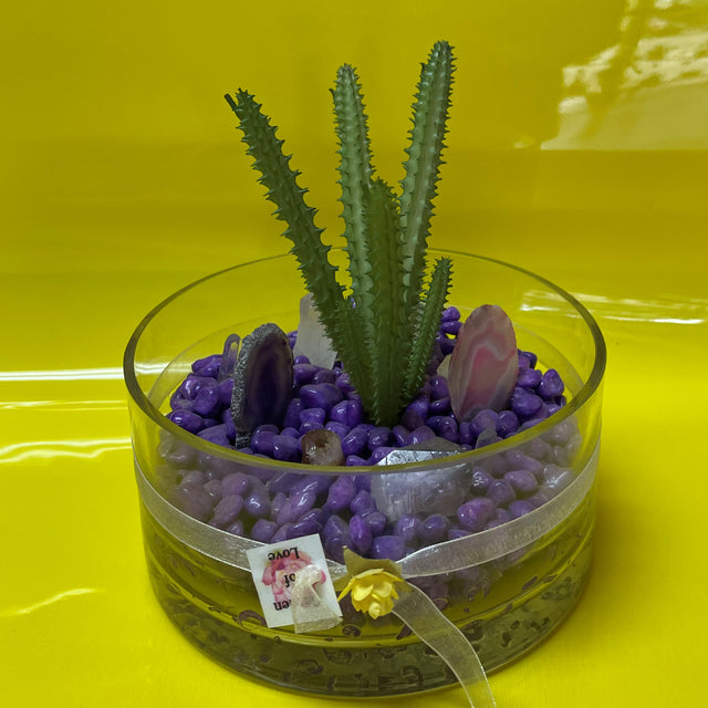 Crystal Garden with Succulent Plant