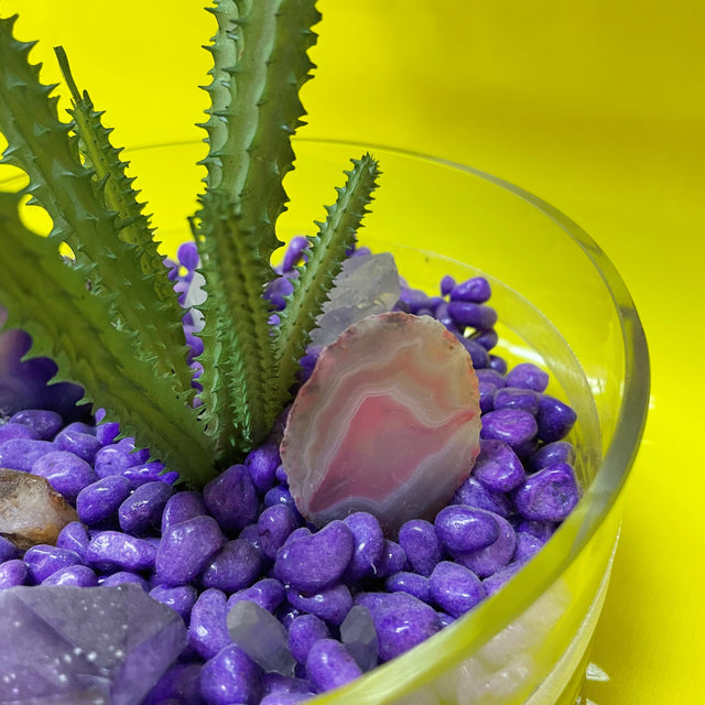 Crystal Garden with Succulent Plant