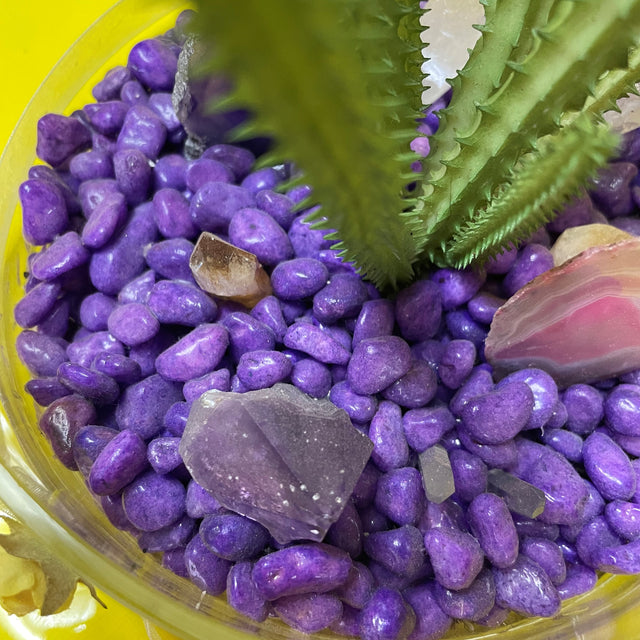 Crystal Garden with Succulent Plant