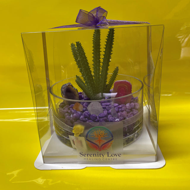 Crystal Garden with Succulent Plant