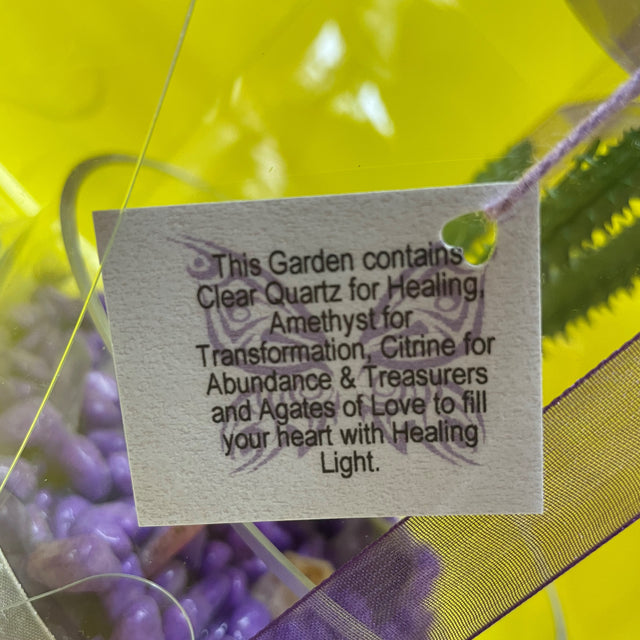 Crystal Garden with Succulent Plant