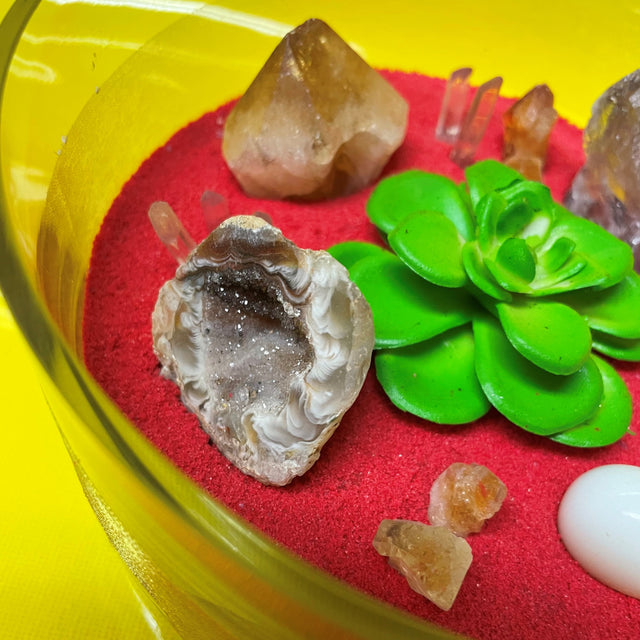 Crystal Garden with Succulent Plant