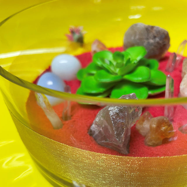 Crystal Garden with Succulent Plant