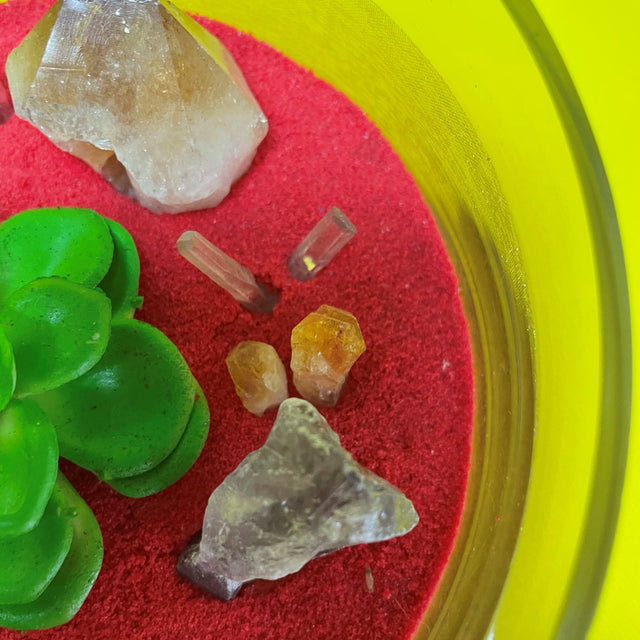 Crystal Garden with Succulent Plant