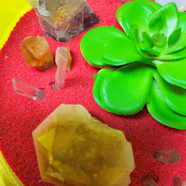 Crystal Garden with Succulent Plant