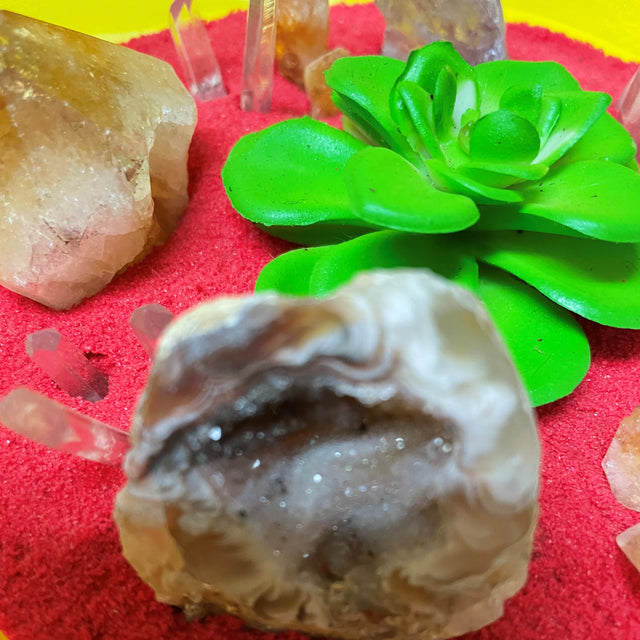 Crystal Garden with Succulent Plant