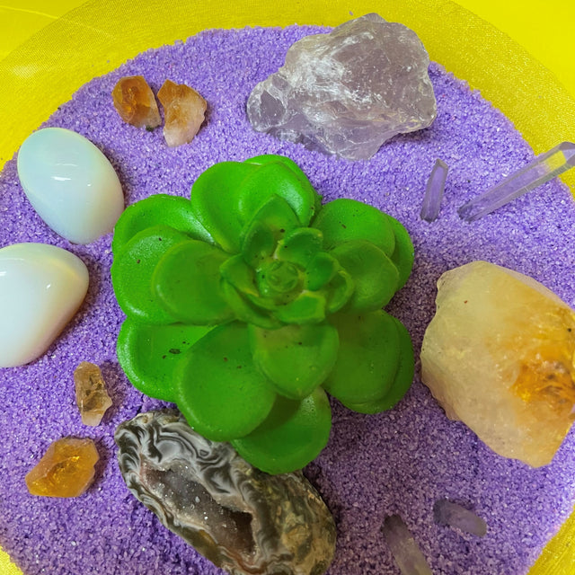 Crystal Garden with Succulent Plant