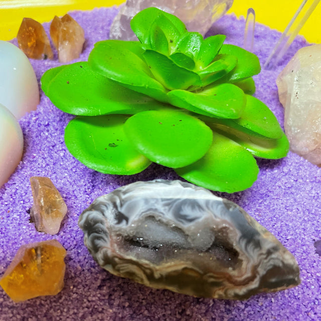 Crystal Garden with Succulent Plant