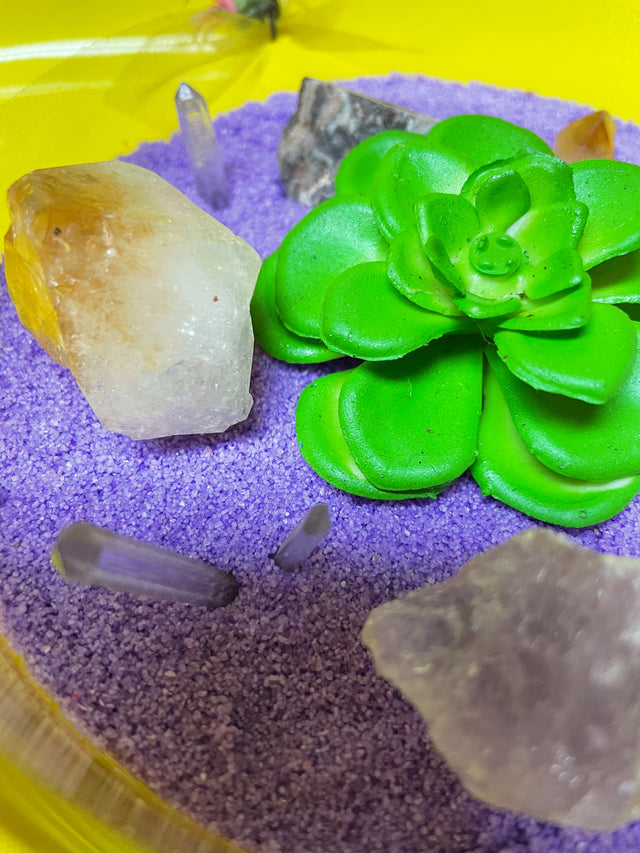 Crystal Garden with Succulent Plant