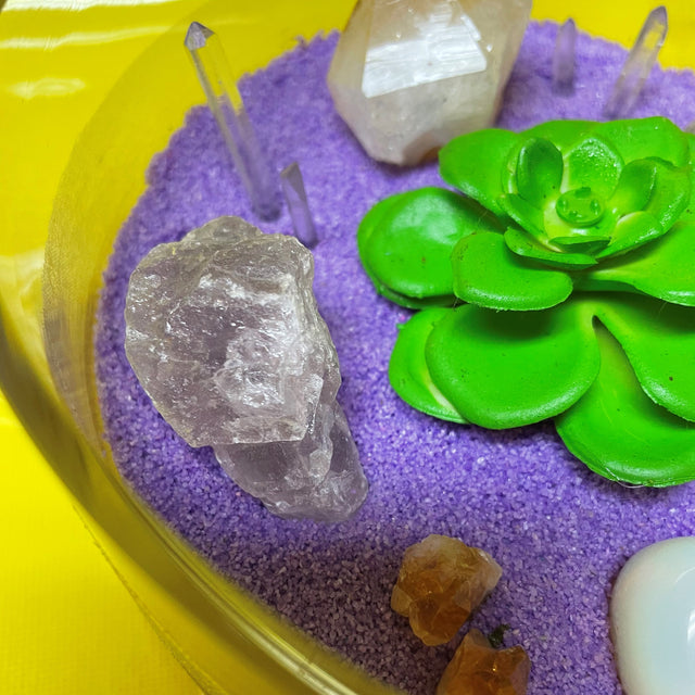 Crystal Garden with Succulent Plant