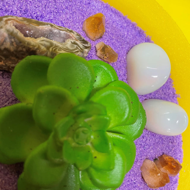 Crystal Garden with Succulent Plant