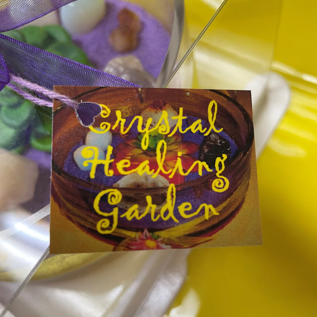 Crystal Garden with Succulent Plant