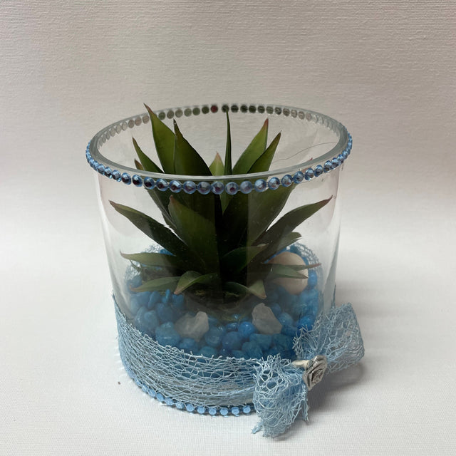 Crystal Terrariums with Artificial Succulent Plant