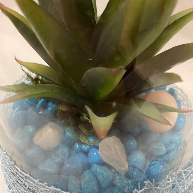 Crystal Terrariums with Artificial Succulent Plant