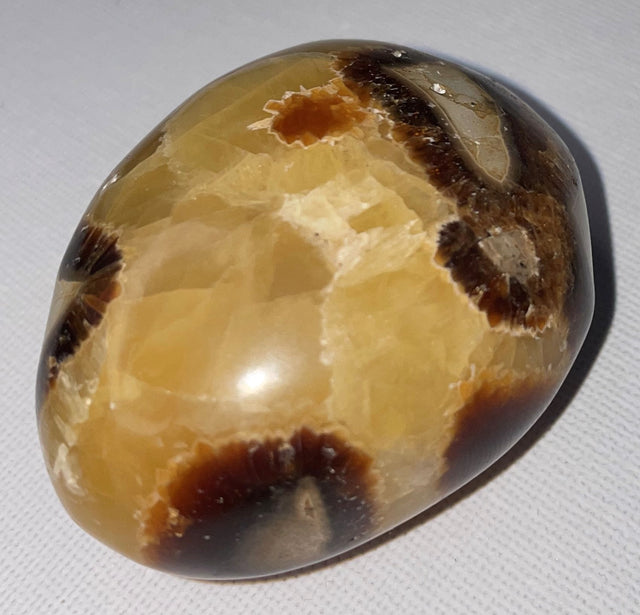 Septarian Wand & Cluster