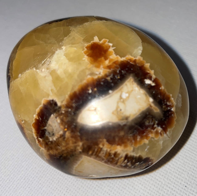 Septarian Wand & Cluster