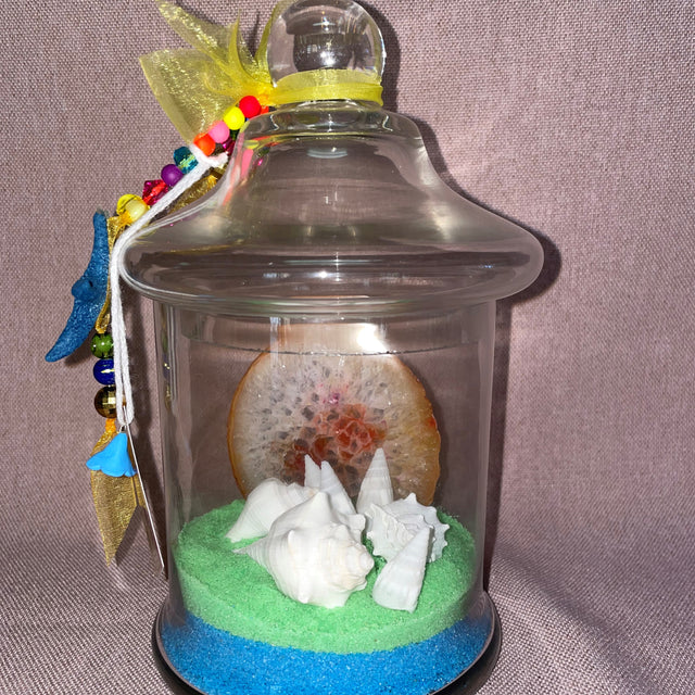 Ocean Theme Agate and Shells