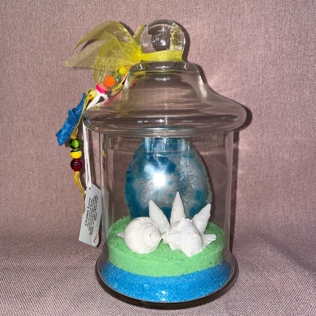 Ocean Theme Agate and Shells