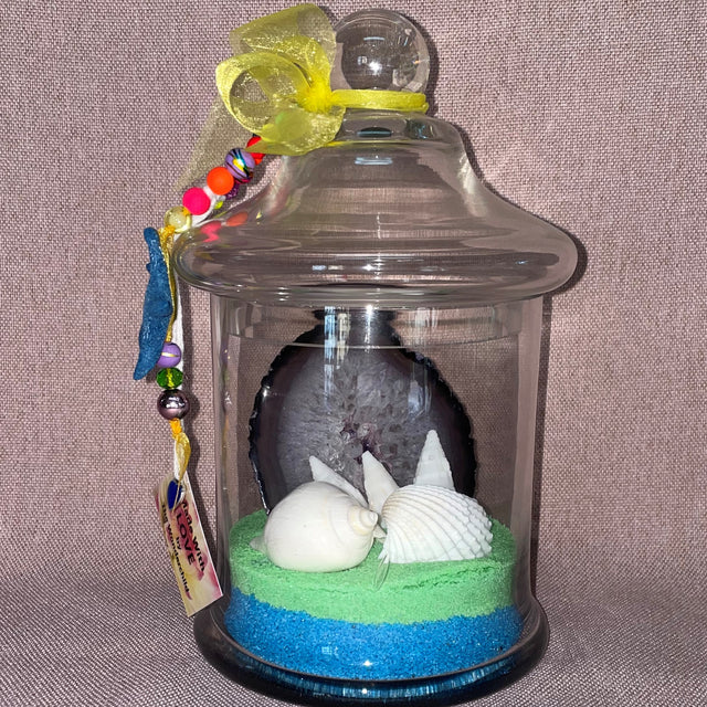 Ocean Theme Agate and Shells