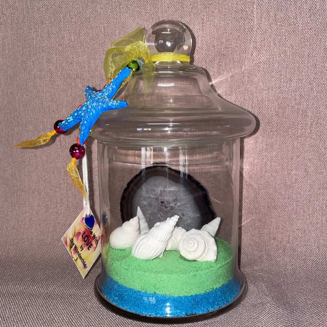 Ocean Theme Agate and Shells