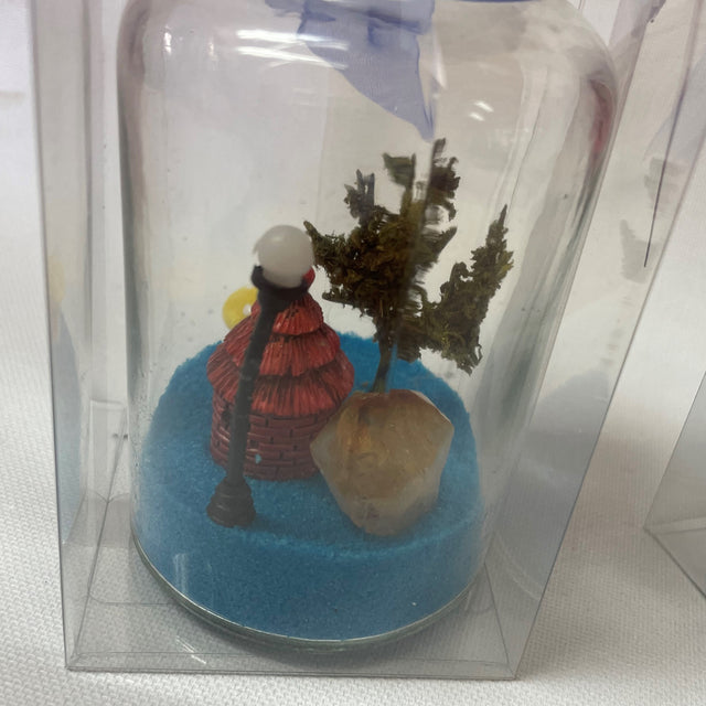 Crystal Gardens in a Bottle