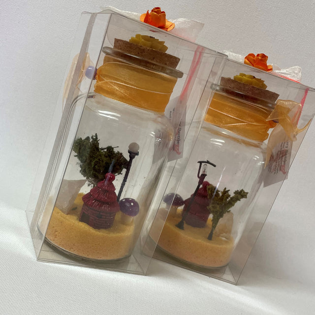 Crystal Gardens in a Bottle