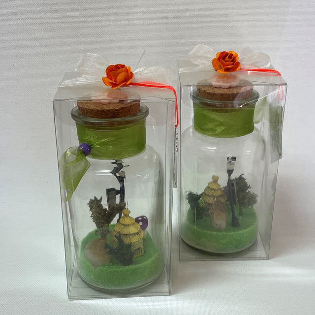 Crystal Gardens in a Bottle