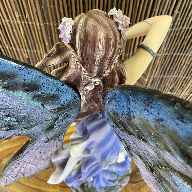 Fairy - The Enchantress Fairy