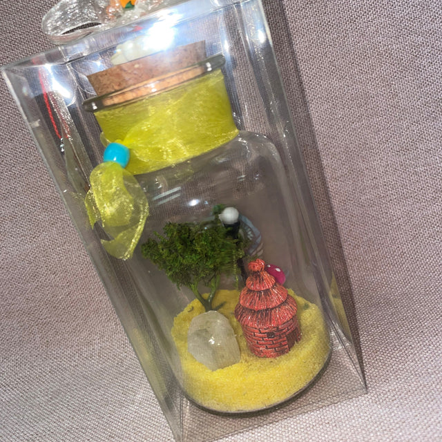 Crystal Gardens in a Bottle