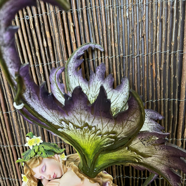 Fairy - The Sleeping Fairy