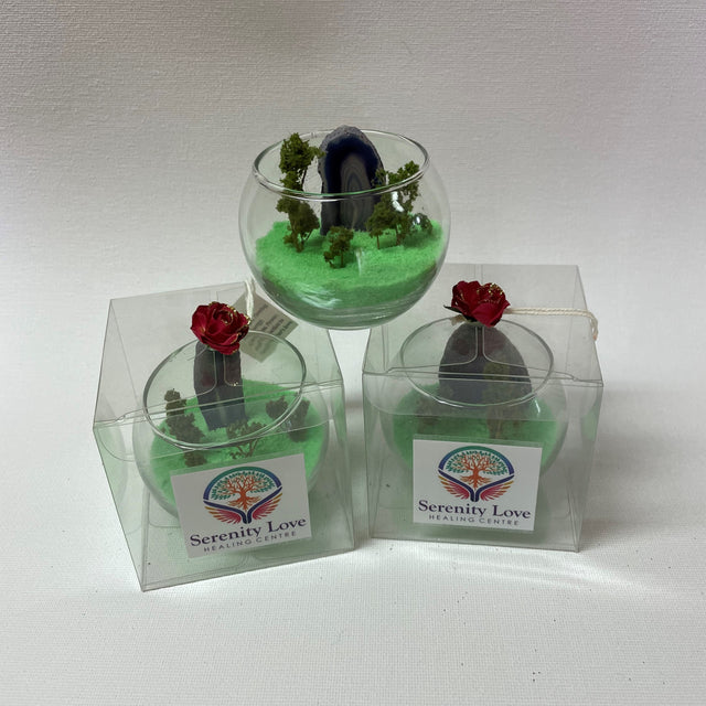 Mini Crystal Gardens