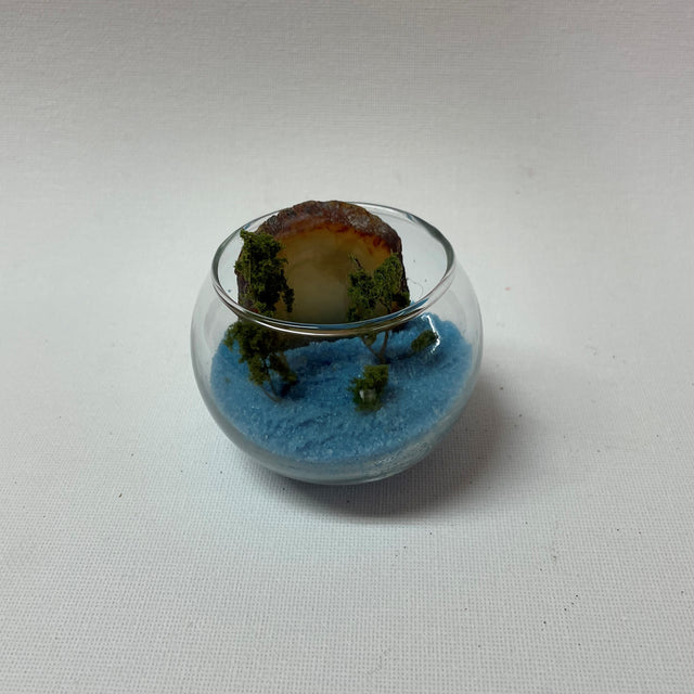 Mini Crystal Gardens