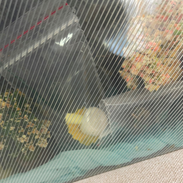 Create Your Own Fairy Garden