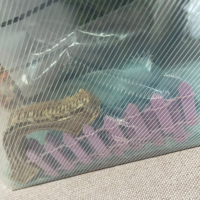 Create Your Own Fairy Garden