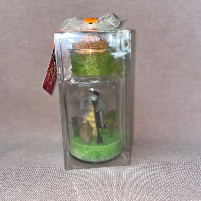 Crystal Gardens in a Bottle
