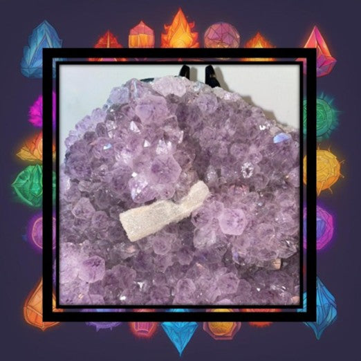 Amethyst Crystal Clusters