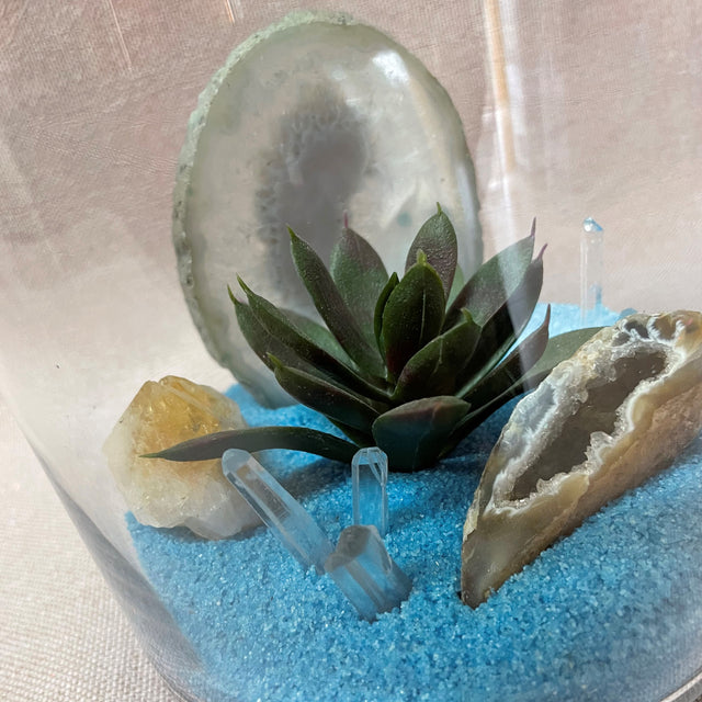 Crystal Garden with Artificial Plant (Blue)