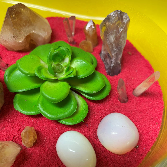 Crystal Garden with Succulent Plant