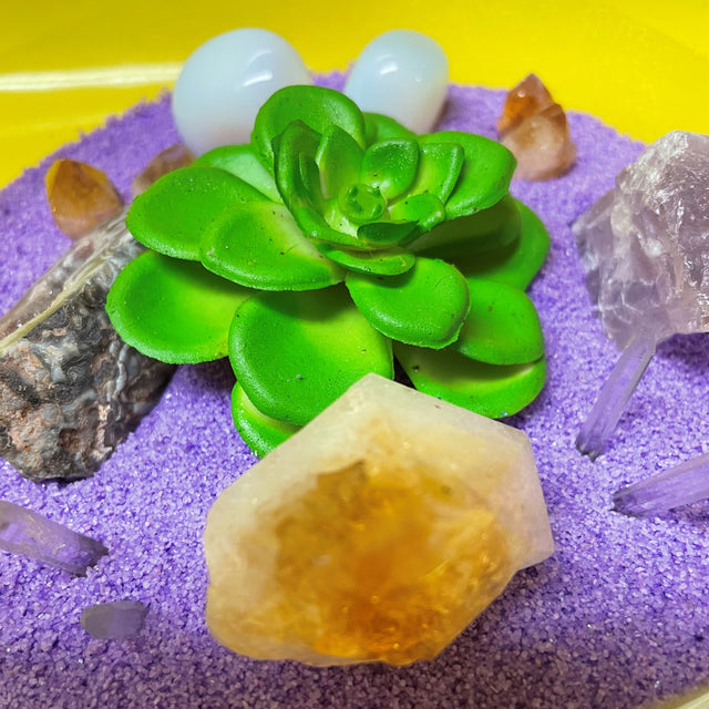 Crystal Garden with Succulent Plant