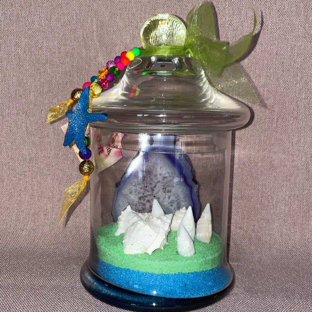 Ocean Theme Agate and Shells